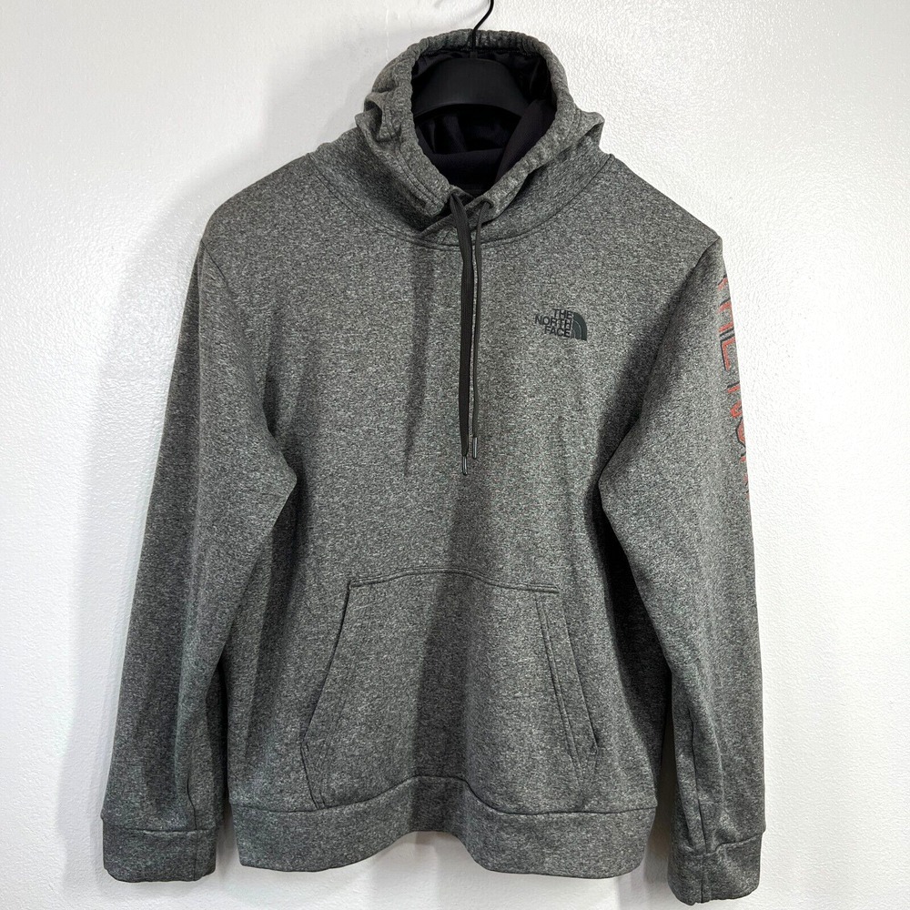 The North Face Drew Peak Hoodie Sweatshirt Mens Large Gray Log Arm Print Casual